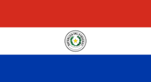 Paraguay                                           Flag